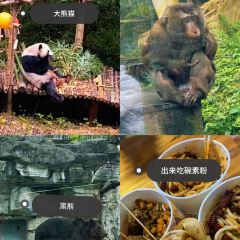 CHEN SHI REN JIA User Photo