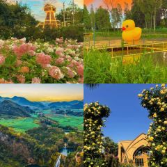 Zhan yi gong shi la zi Chicken (zhan yi) 여행 사진