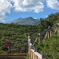 禾木老村山庄 User Photo