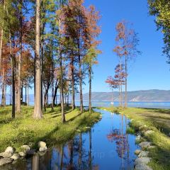 IN MY HEART User Photo