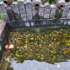 忆岛饭店 User Photo