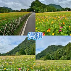 花溪牛肉粉張用戶圖片