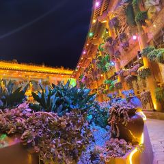 912·张宜庄园(3号店) 여행 사진