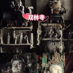 谋生咖啡馆 User Photo