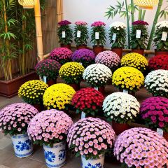 邢家锅贴老店·非遗·开封菜(金明广场店) User Photo