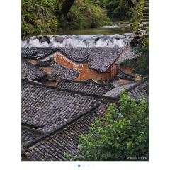 飞茑集樢咖啡 User Photo