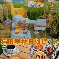 一尺稻田咖啡 User Photo