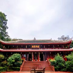 ZHUSANTIANPIYA User Photo