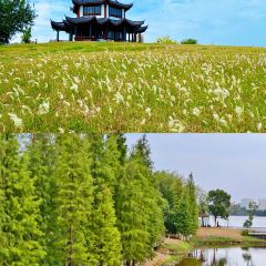 LAO SAN YANG User Photo