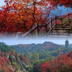 秦记火烧 User Photo