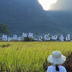 一尺稻田咖啡 User Photo