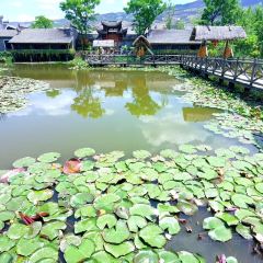 燕子湖农荘 User Photo