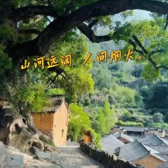 飞茑集樢咖啡 User Photo