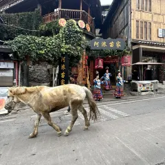 猪圈咖啡屋 User Photo