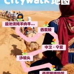 Yan Chi Qing Dun Yang Rou Shou Zhua Lamb Restaurant User Photo