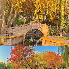 白家缸炉烧饼 User Photo