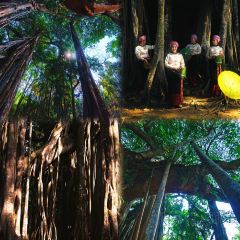 Lanlu Breakfast User Photo