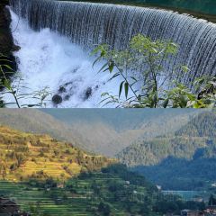 猪圈咖啡屋 User Photo