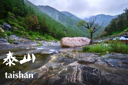 Yunchao Hotel Restaurant