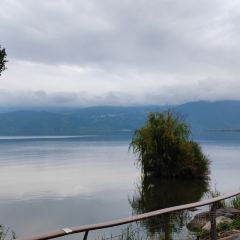 邛海·西波鱼庄 User Photo