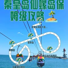 海星辰海鲜大排档(黄金海岸店) User Photo