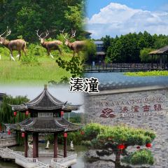 灵山酒酿 여행 사진