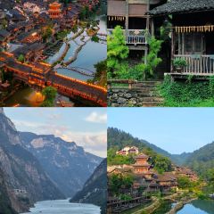 罗记酸汤鱼(凤凰路店) User Photo