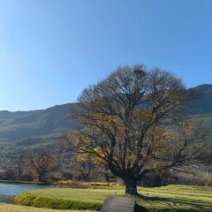 Lijiang Club Med Resorts Amaze Snow Mountain CampTent Restaurant User Photo