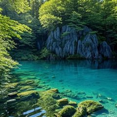 Shunji Traditional Cold Noodles User Photo