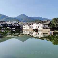 LIN SHANG REN JIA User Photo