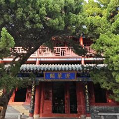 海岛日记(养马岛店) User Photo