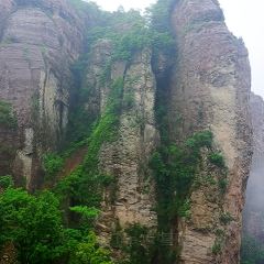 岭上人家鄉情阁烤全羊張用戶圖片