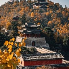 WEIDAOJIA MAMACAI User Photo