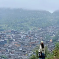 猪圈咖啡屋 User Photo