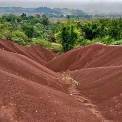 Chongqingxiaotian'e (kaifaqu) User Photo