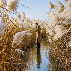 LAO SAN YANG User Photo