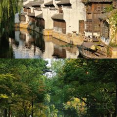 Xiexi Street Shaomai Shop User Photo