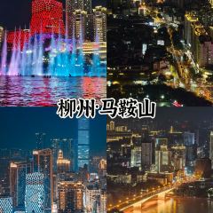 桂记啤酒鱼家常私房菜 User Photo