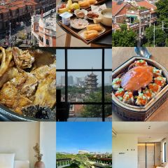 张林阿山姜母鸭(泉州新华北路店) User Photo