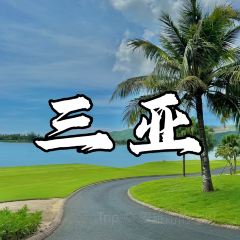 嗲嗲的椰子鸡·海南火锅(亚龙湾博后村店) User Photo