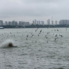 AI SHANG JUN User Photo