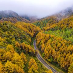 XIANG WEI CUN GU CHANG CAI User Photo