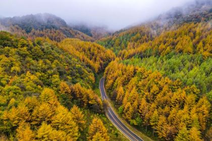 XIANG WEI CUN GU CHANG CAI