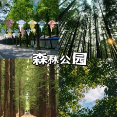 哎呀媽媽喲嵐山豆腐木柴大鍋魚張用戶圖片