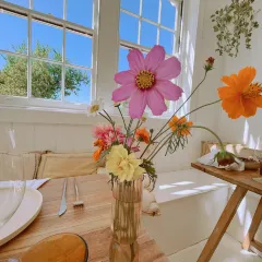 RABBIT HOLE User Photo