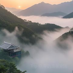 鍾姨糖水（惠城店）張用戶圖片