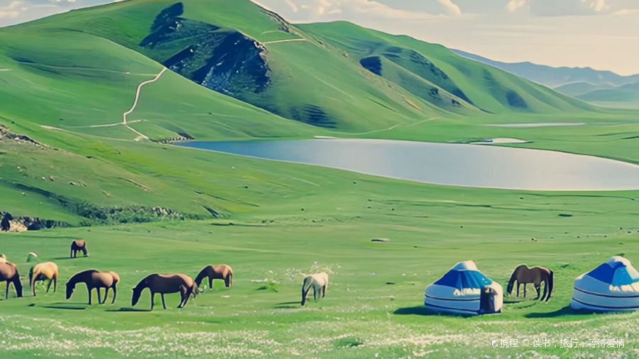 粘豆包铁锅炖(温泉街店)