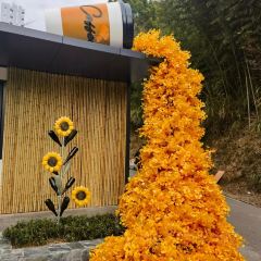 诸暨正宗次坞打面(人民西路店) User Photo