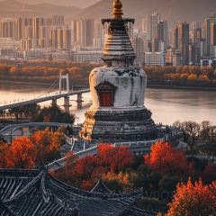 CHUN TAI SHOU ZHUA User Photo