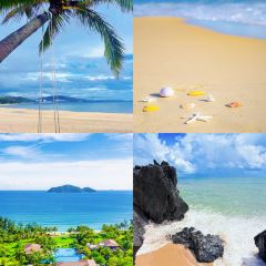 dan jia yu pai User Photo